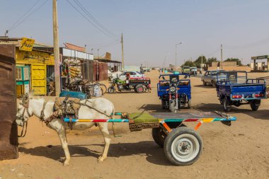 WADI HALFA, Sudan - 24 Şubat 2019: Wadi Halfa, Sudan 'da Eşek