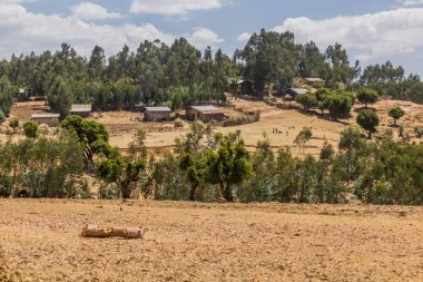 Etiyopya 'nın Kosoye köyünün kırsal manzarası