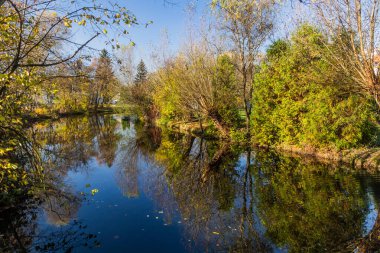 Çek Cumhuriyeti Prag 'daki Botic akışının sonbahar manzarası