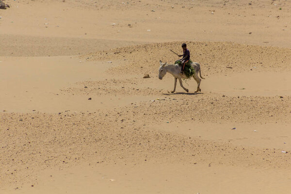 KARIMA, SUDAN - MARCH 2, 2019; Boy riding a donkey in the desert near Karima town, Sudan