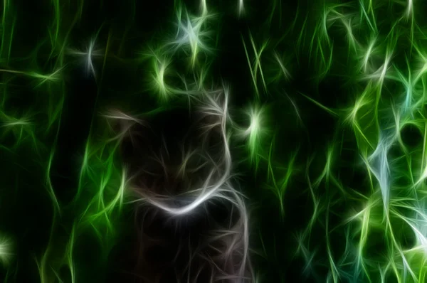 Cat. Abstract Wallpaper — Stock Photo, Image