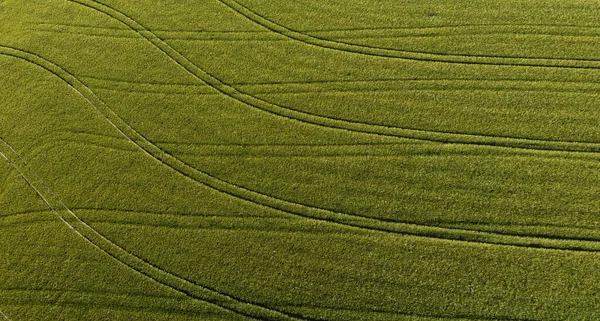 Drone Vista Faixas Pneus Que Estendem Através Campo Rural Verde — Fotografia de Stock