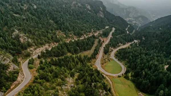 Vista Drone Estrada País Que Estica Através Vale Florestado Pyrenees — Fotografia de Stock