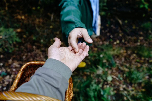 Άνδρας Καλάθι Κρατώντας Χέρι Της Γυναίκας Φίλο Στο Δάσος — Φωτογραφία Αρχείου