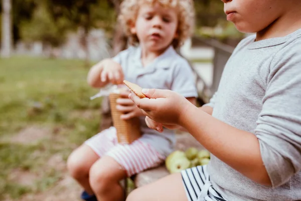 Menino Com Biscoito Sentado Por Amigo Masculino — Fotografia de Stock