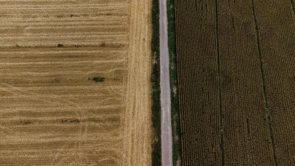 Aerial View Country Road Stretching Fields — Stock Photo, Image