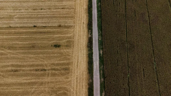 Flygfoto Över Landsvägen Sträcker Sig Mellan Fälten — Stockfoto