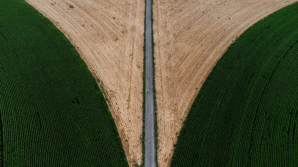 緑のトウモロコシ畑の間に広がる田舎道の空中風景 — ストック写真
