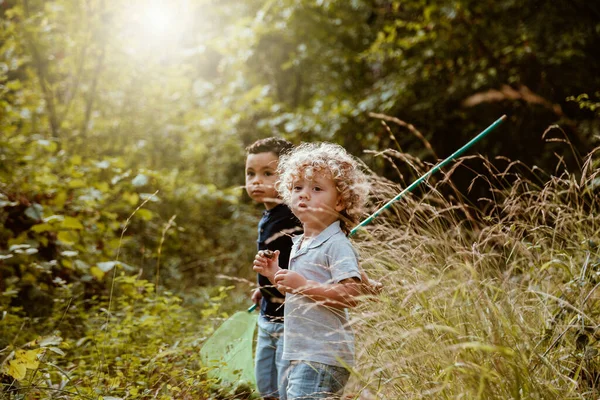 Boys Standing Together Forest Sunny Day — Stock Photo, Image