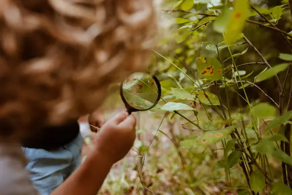 Boys Examining Rotten Leaf Magnifying Glass — Stock Photo, Image