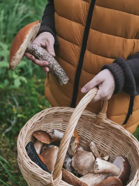 Kobieta Wiklinowym Koszem Gospodarstwa Grzyby Lesie — Zdjęcie stockowe