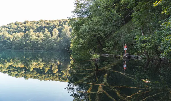 Turistka Kráčející Spadlém Jezeře Národním Parku Plitvická Jezera — Stock fotografie