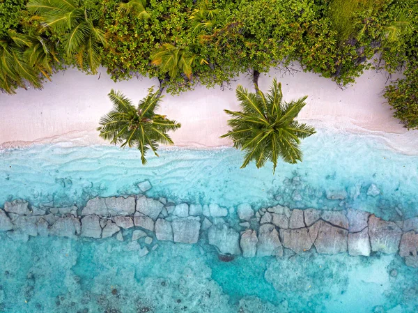 Maldives Kolhumadulu Atoll Aerial View Forested Coastline Kanimeedhoo Island — Stock Photo, Image