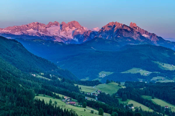 Dennenbomen Berg Salzburg Oostenrijk — Stockfoto