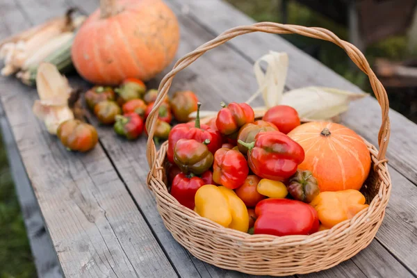 Verse Groenten Mand Houten Tafel — Stockfoto