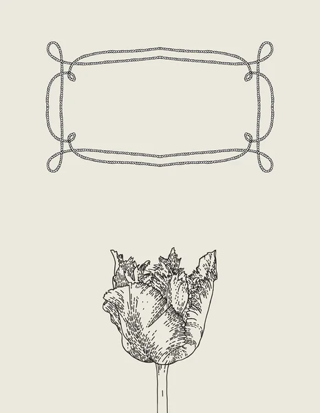 Hand getrokken kaart met tulip bloem — Stockvector