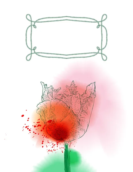 Flor de tulipán sobre fondo acuarela — Vector de stock