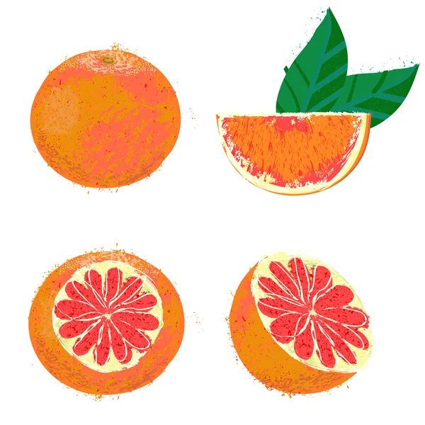 Ilustração vetorial de frutos de toranja — Vetor de Stock