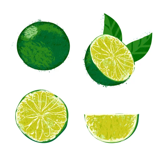 Ilustración vectorial de una fruta de lima . — Vector de stock