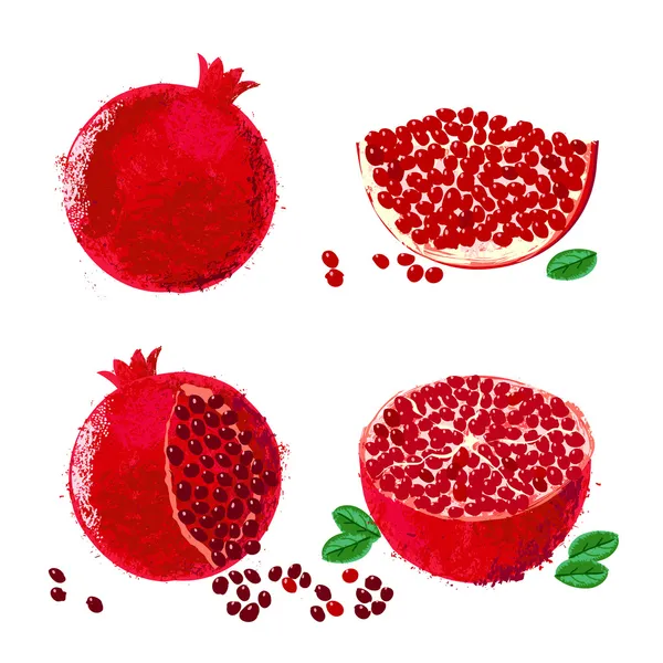Illustrazione vettoriale dei frutti di melograno — Vettoriale Stock