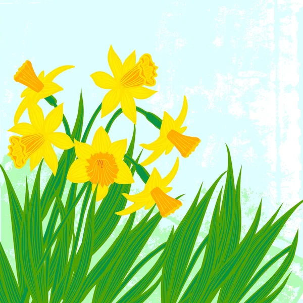 Vector card with daffodils on textured background. — Stock Vector