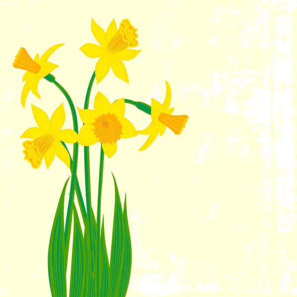 Kaart met vijf narcissus — Stockvector