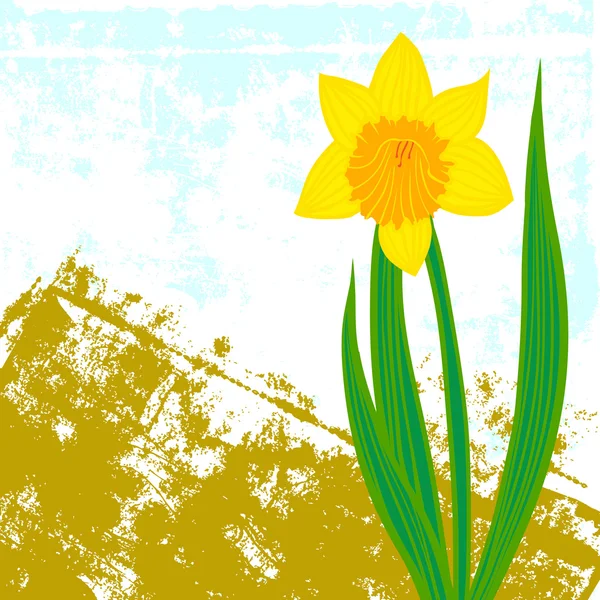 Vektor kort med en enda daffodil — Stock vektor