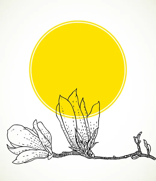 Kártya, kézzel rajzolt magnolia sárga kör — Stock Vector