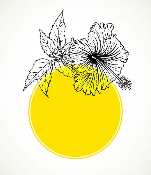 Tarjeta vectorial con hibisco en marco de círculo amarillo . — Vector de stock