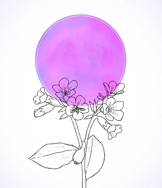 Сard mit botanischer Zeichnung der Langkrautblüte. — Stockvektor