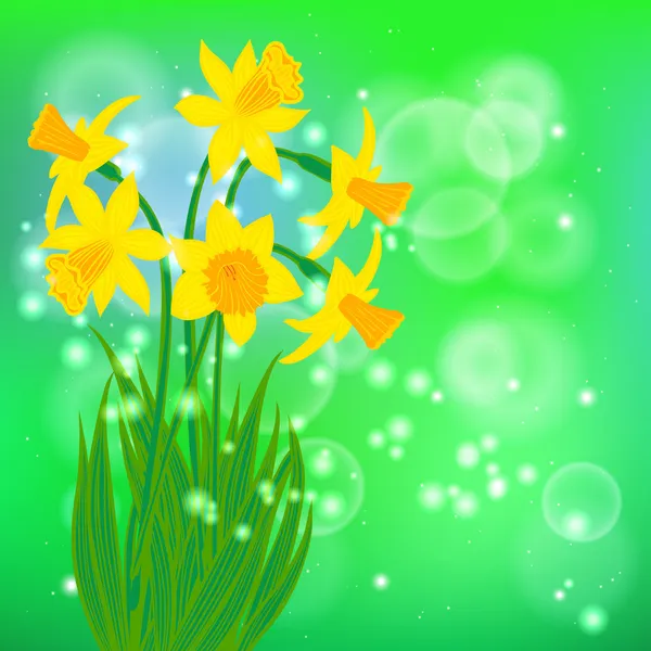 Vector card with daffodils on light green bokeh — Stock Vector