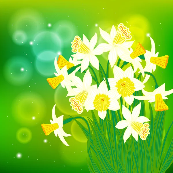 Vector card with white daffodils on light bokeh — Stock Vector