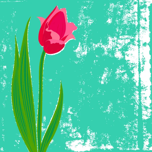 Cartão vetorial com tulipa vermelha sobre fundo texturizado . —  Vetores de Stock