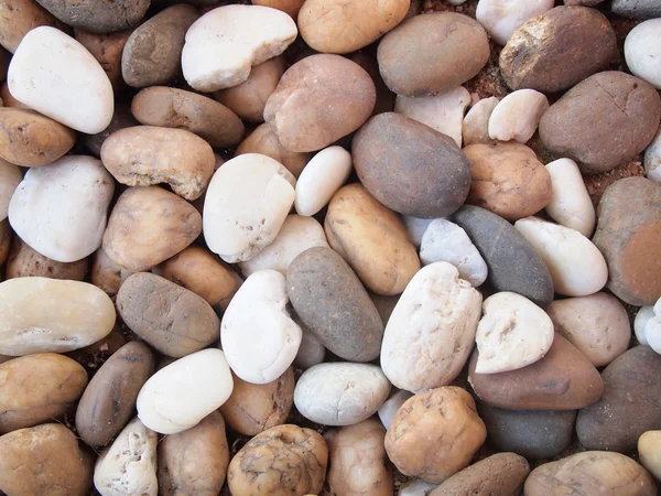 Verschillende pebble stenen textuur — Stockfoto