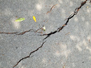 Old wet worn and cracked asphalt with cracks clipart