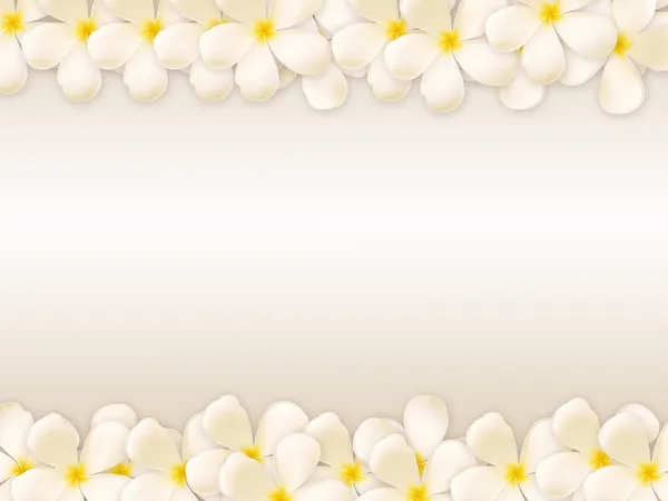 Frangipani-Design-Collage — Stockfoto