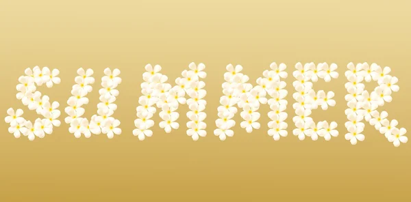 Καλοκαίρι λέξη δημιουργήθηκε από λουλούδι σε καφέ φόντο — Φωτογραφία Αρχείου