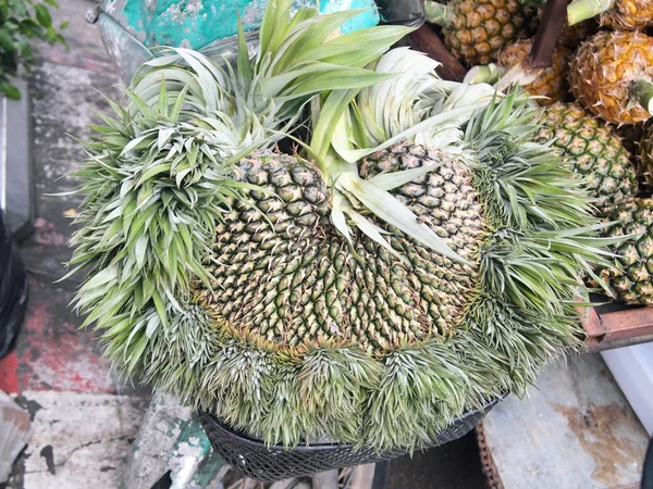 Oddly shaped pineapple — Stock Photo, Image