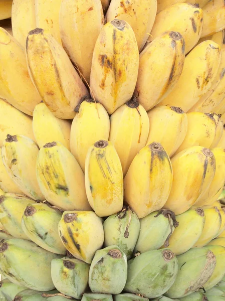 Bananas fruits — Stock Photo, Image