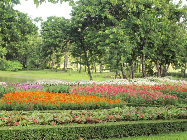 花场的背景 — 图库照片