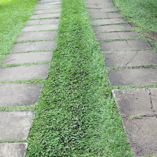 Kamienna ścieżka spacerowa w parku z zielonym tłem trawy — Zdjęcie stockowe