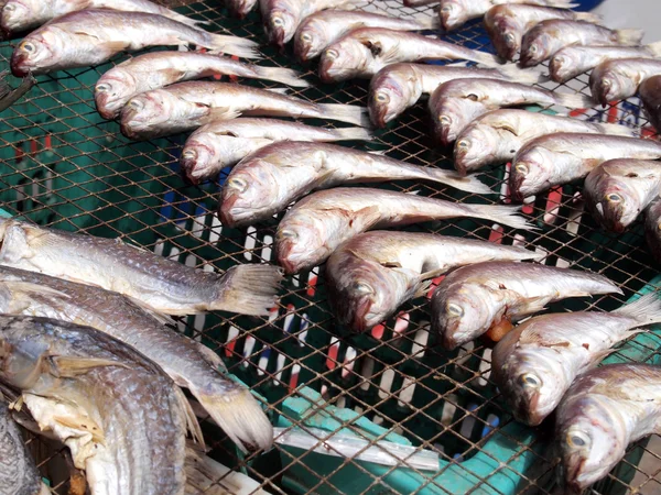 Dried fish — Stock Photo, Image