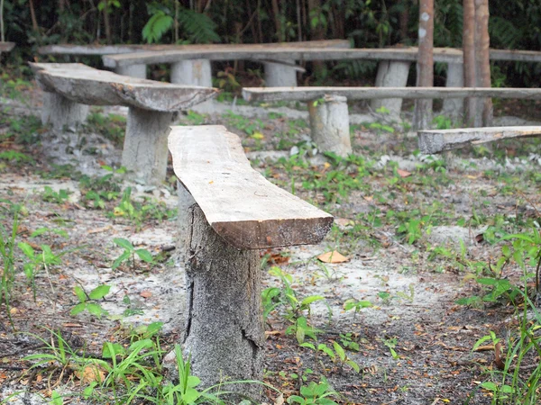 Bench in het bos — Stockfoto