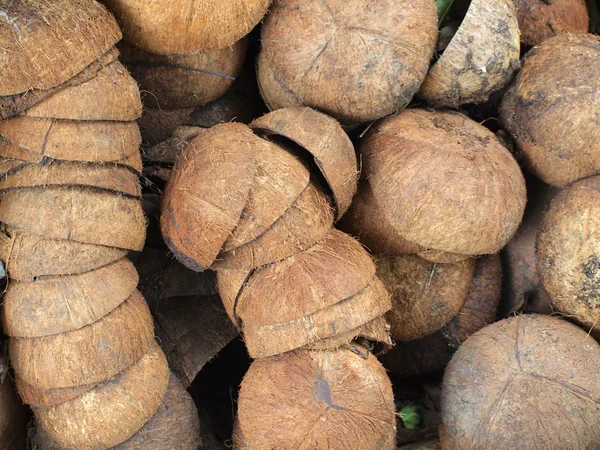 Hromadu vyřazených kokosové slupky v Thajsku — Stock fotografie