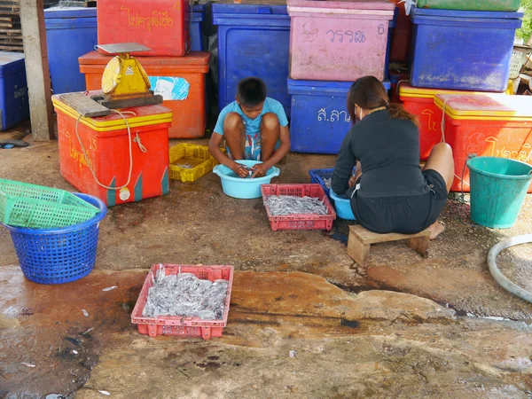 CHUMPHON THAILAND SEPTEMBER 22: people cleans the squid washed to prepare to take the sun on 22 september 2012 in Chumphon Thailand. — Stock Photo, Image