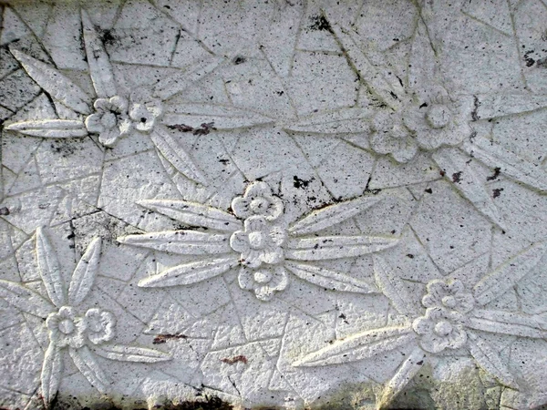 Modello di fiore scolpito su sfondo di cemento — Foto Stock