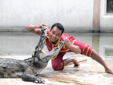 Samutprakarn, Tayland-Eylül 8: Timsah Timsah çiftliği'nde 8 Eylül 2013 samutprakarn, Tayland göster. Bu heyecan verici show turizm ve Tay insanlar arasında çok ünlü arasında