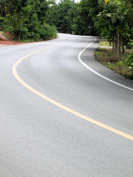 Curve asfalt weg-weergave — Stockfoto
