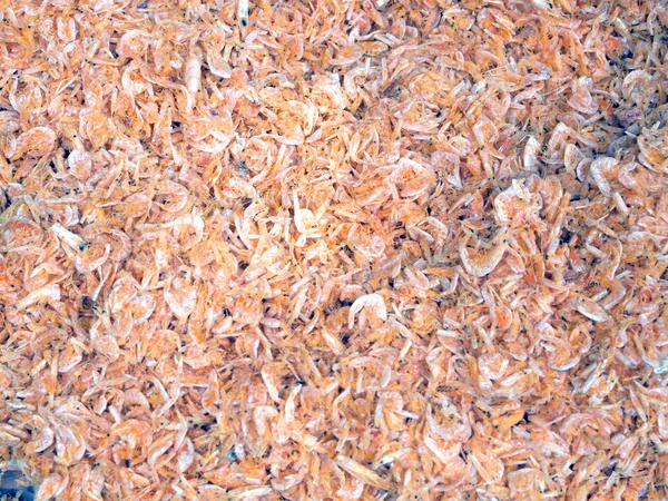 It is making dried shrimps food. — Stock Photo, Image