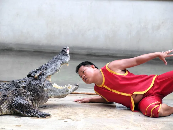 SAMUTPRAKARN, THAÏLANDE - 8 SEPTEMBRE : exposition de crocodiles à la ferme de crocodiles le 8 septembre 2013 à Samutprakarn, Thaïlande. Ce spectacle passionnant est très célèbre parmi les touristes et les Thaïlandais — Photo